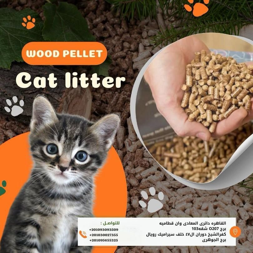 sa